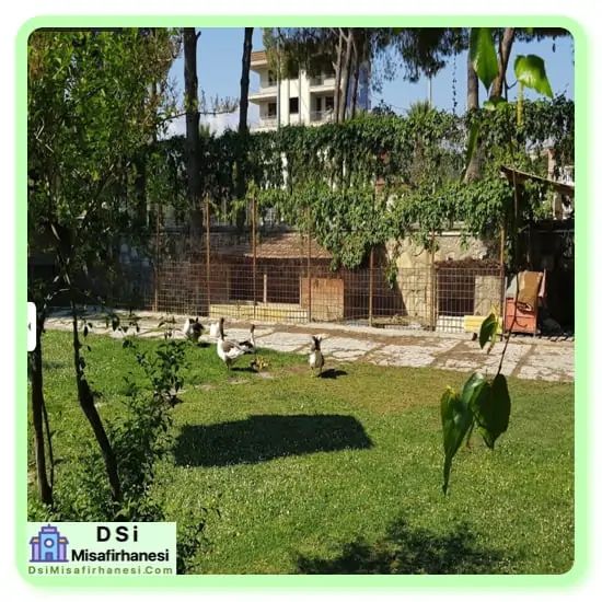 denizli sarayköy dsi misafirhanesi ve sosyal tesisleri