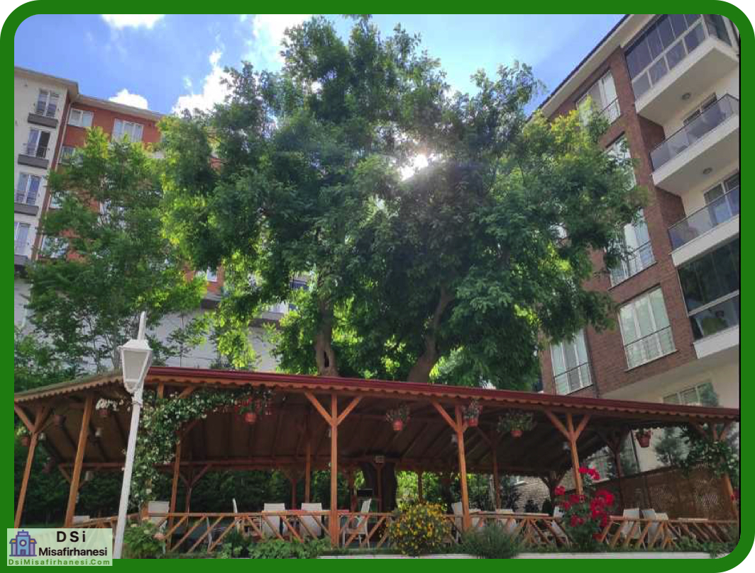 Catalca Ogretmenevi Resimleri 4 - Çatalca Öğretmenevi Fiyatları Adresi Telefonu
